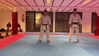 EJEMPLO EXAMEN 3 DAN KARATE (2025)