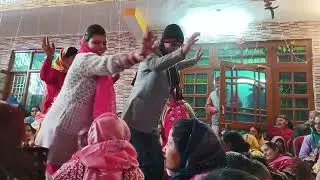 Pahadi Gidda at  Darlaghat Bagal Solan   Arki Gidda🙏