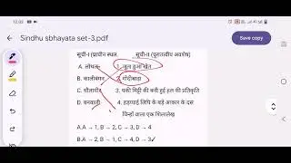 सिंधु  सभ्यता set-3 by Anand sir