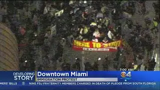 Large Protest Taking Place In Downtown Miami Over Immigration