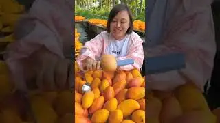 #mango #chinawomen #india #pakistan #cute #bangladesh #uae #saudiarabia #france