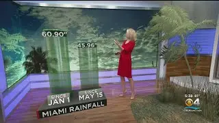 Dry season has arrived in South Florida