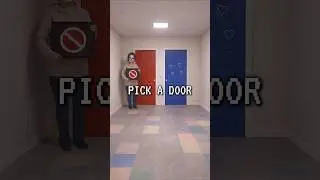 Pick Your Door Carefully