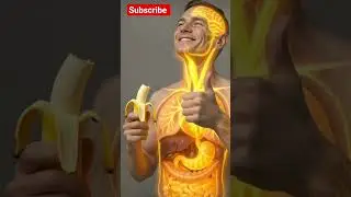 #3DMedicalVisual#AnatomyVideo#DrinkCoke#StomachReaction#Cinematic3D#HealthVisual#ViralShorts#aivideo