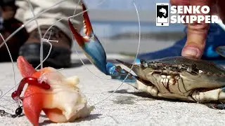DIY Crab Snare- SET THE HOOK!