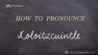 How to Pronounce Xoloitzcuintle (Real Life Examples!)