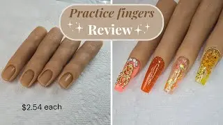 $2.54 Practice Finger - Review-