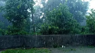 Heavy Rain and Strong Wind in the Mountains 🌧️ Real Ambience for Sleep & Relaxation