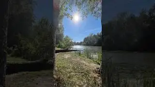 Золота осінь 😍#autumn #river #nature #sunday #sunshine #ukraine #sky