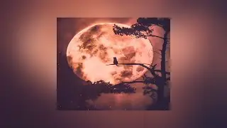 Ivan Yudin - ligh (Official Audio)