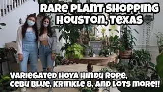 RARE Plant Shopping in Houston, Texas Part I // Getting some Wishlist Plants!
