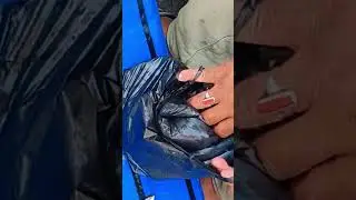 #fishinglife#fish #statusvideo #fishingvideo#shortvideo#smallsize fish