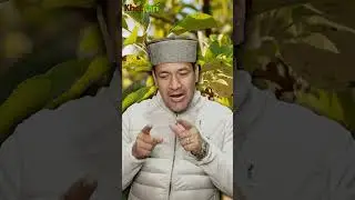 ✨ Perfect Time to Change Orchard 🌱 Know the Best Techniques and Smart Farming Secrets 🚜📈