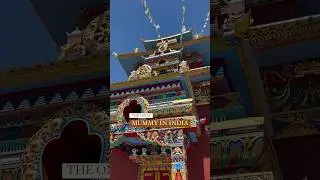 Mummy in India | Spiti Valley | Gue Monestry | Gue Village | 550 year old Mummy | Spiti Tour