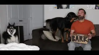 BARKBOX with Extra Toy | October 2021 | Mischief Mutts | Halloween