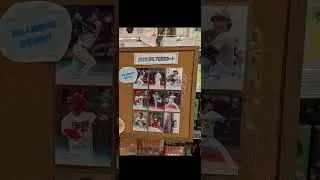 the official NPB 2022 cards