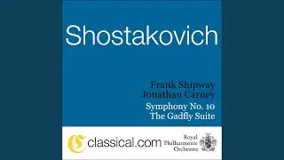 Symphony No. 10 in E minor, Op. 93 - Allegro