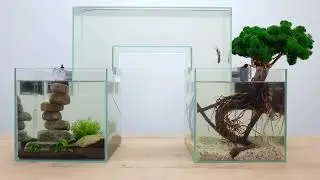 Aquascaping Challenge: Fish Skywalk Edition 🐠🛤🤣#aquascaping #aquascape #fishtank #fishtankdecor