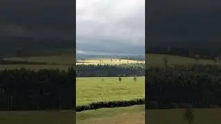 wow😱, Kericho the green city🇰🇪 #travelvlog #shorts #shortvideo