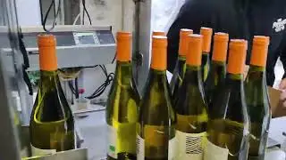 Bottling wines at Domaine les Caizergues in 2023