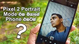 Google Pixel 2 Portrait Mode  -How to Capture Pixel 2 Portraits On Your Android