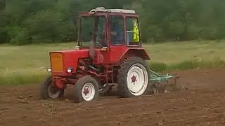 Ежи, прополка картофеля