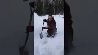 Dorf  in snow.... Maine storm  January 2019