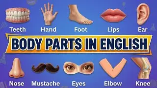 Daily Use Body Parts in English | Learn Fast & Easy