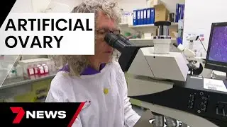 Medical breakthrough helping women win their fertility fight | 7 News Australia