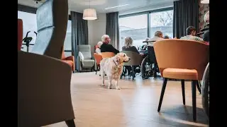 WAARDERING EN GELUK IN DE ZORGSECTOR?  'Gewoon voor de glimlach'