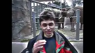 Me at the zoo 4K ULTRA HD 60fps high quality