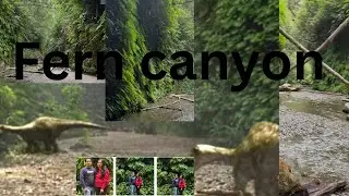 Exploring the land where dinosaurs roamed  #FernCanyon #JurassicPark2 #JurassicParkLocation #Prairie