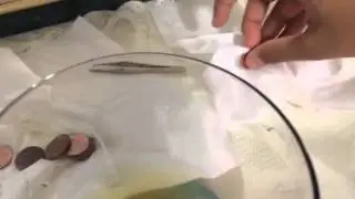 HOW TO CLEAN PENNIES THE EASIEST WAY FOR FREE!