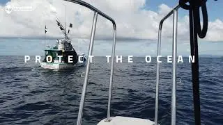 JUSTICE FOR NATURE - THE OCEAN
