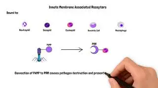 Receptor Ligand Binding