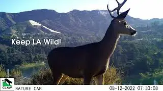 CLAW Nature Cam - 2022 Highlight Reel