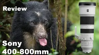 El Mejor Lente para Vida Salvaje? Review del Sony 400-800mm G