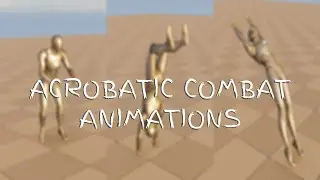 Acrobatic Combat Animations