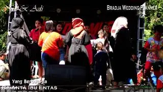 #zrpro  #newbrajamusic #Bradaweddingplanner KUDA PIRANG NEW BRADJA MUSIC PERNIKAHAN CANIA & ADI