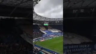Schalke 04 fans incredible support away at Hannover