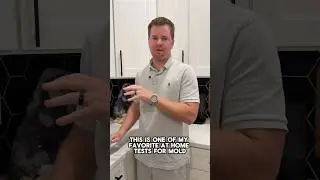 DIY Mold Testing At Home