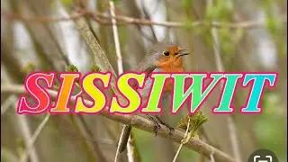 SISSIWIT (Igorot Dance Song) #tayawdance