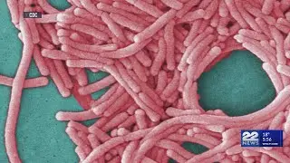 Legionnaires' disease bacteria detected at Pappas Hospital