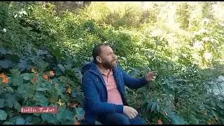 anda reouhagh sani arewlagh louange Kabyle lehmadi. Amar ghezali