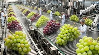 Inside a Modern Raisin Factory: From Fresh Grapes to Sweet Dried Raisins (Full Process)
