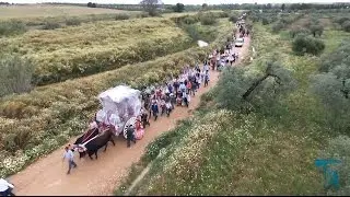 EL CAMINO DEL ROCÍO 2016