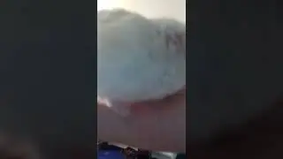 Lol, random video w/ Charlotte, Henry Oscar