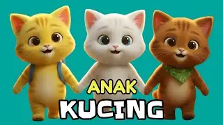 LAGU ANAK 🇮🇩 ANAK KUCING MEONG MEONG - LAGU ANAK BALITA VIRAL