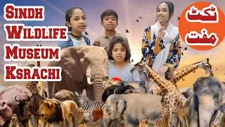 A tour of a Ticket Free Sindh Wildlife Museum Karachi | Freemasons Lodge Building | @shehrmaindihat