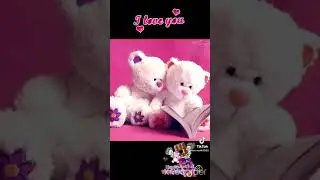 New teddy bears whatsApp status 🌷🌷🌹🍁🌸